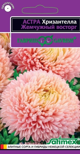 Астра Хризантелла Жемчужный восторг  0_05гр_10