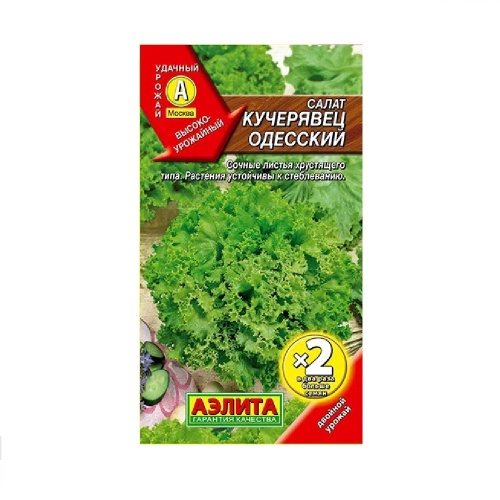 Салат Кучерявец Одесский п_кочанный 1гр  _10