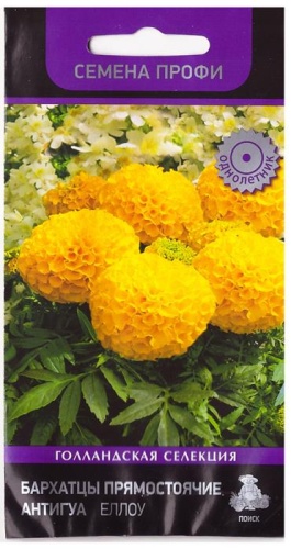 Бархатцы Антигуа Еллоу прямостоячие  15шт_10