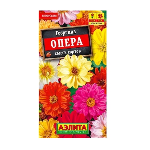 Георгина Опера смесь 7шт_10
