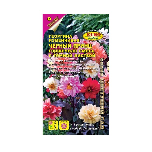 Георгина Черный принц смесь 0_2гр _10