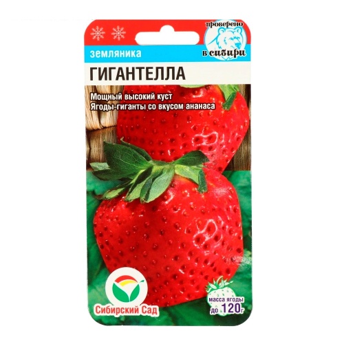 Земляника Гигантелла  10шт_10