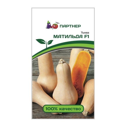 Тыква Матильда F1  5шт_10