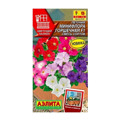 Петуния Минифлора горшечная F1 смесь 5шт _10