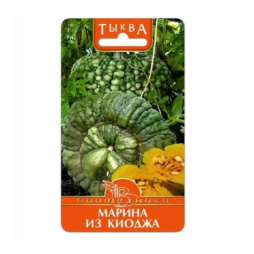 Тыква Марина из Киоджа  5шт_5