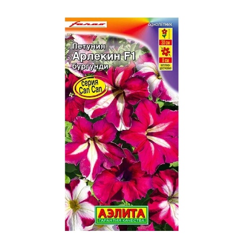 Петуния Арлекин Бургунди  5шт_10