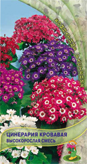 Цинерария  кровавая  0_01гр_10