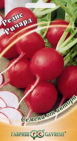 Редис Ричард  2гр_10
