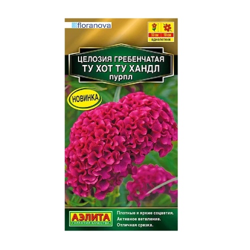 Целозия гребенчатая Ту хот ту хандл пурпл 5шт _10