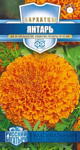 Бархатцы Янтарь прямостоячие_Русский богатырь  0_1гр_10 