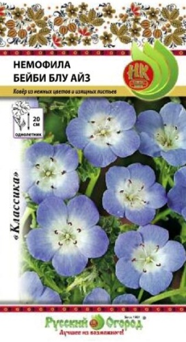 Немофила Бейби блу айз  0_3гр_10_100