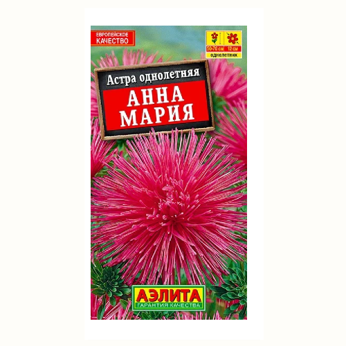Астра Анна Мария  0_2гр_10