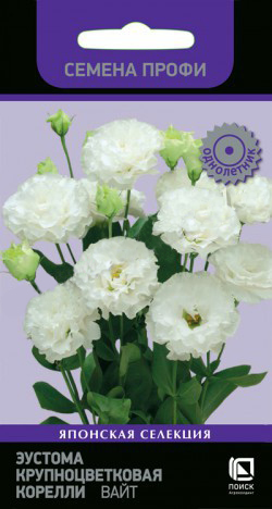 Эустома Корелли Вайт крупноцветковая  5шт_10