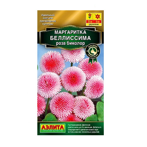 Маргаритка Белиссима роза биколор 7шт  _10