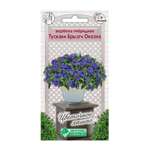 Вербена Тускани Брызги Океана гибридная 8шт_10