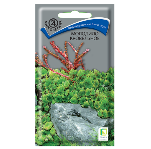 Молодило кровельное  0_01гр_10