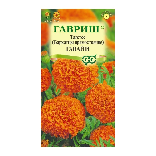 Бархатцы Гавайи прямостоячие  0_3гр_10