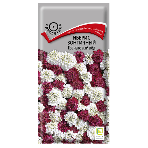 Иберис зонтичный Гранатовый лед  0_1гр_10