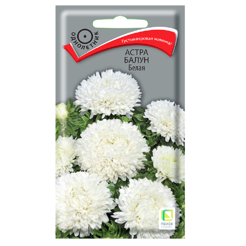 Астра Балун Белая  0_1гр_10