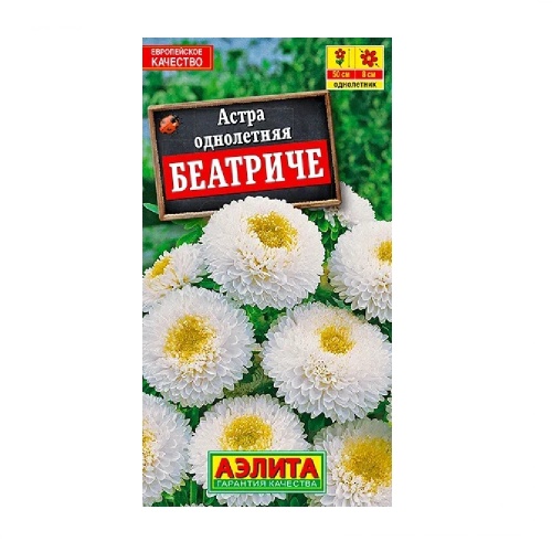 Астра Беатричи  0_2гр_10