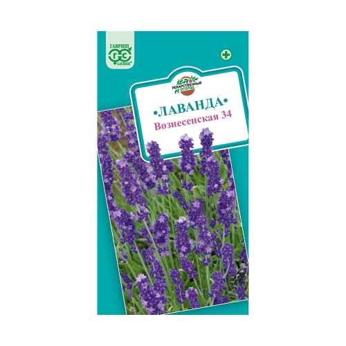 Лаванда узколистная Вознесенская 34  0_05гр_10