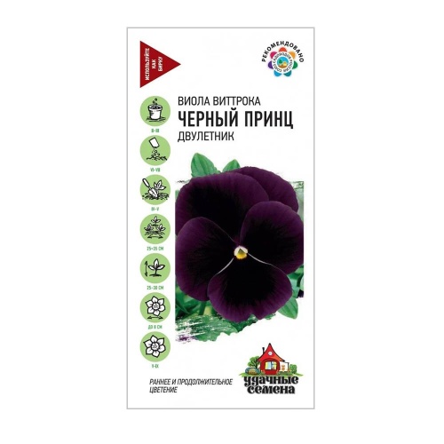 Виола Виттрока Черный принц_Удачные семена  0_05гр_10