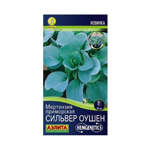 Мертензия приморская Сильвер Оушен 5шт _10