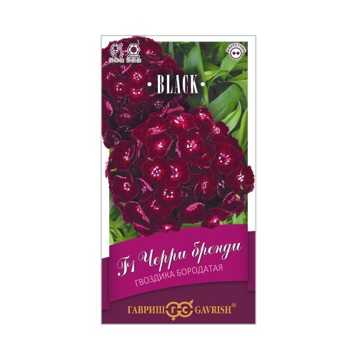Гвоздика бородатая (турецкая) Черри бренди F1  4шт_10
