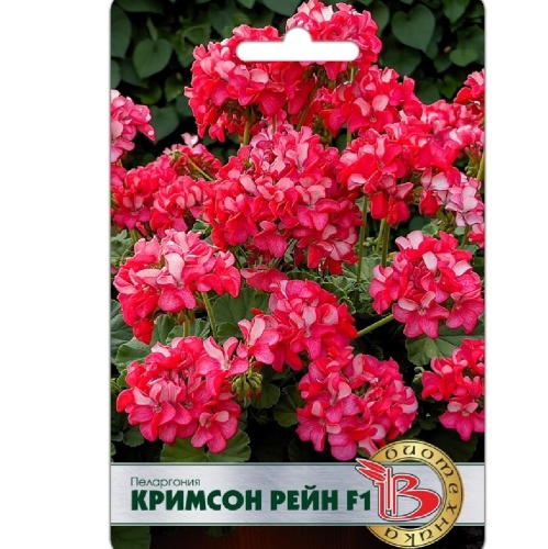 Пеларгония Кримсон Рейн F1 5шт_5_10