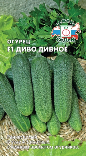 Огурец Диво Дивное F1  0_2гр_10