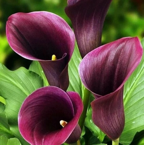 Снимок экрана 2026-01-16 154607