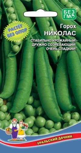 Горох Николас  8гр_10