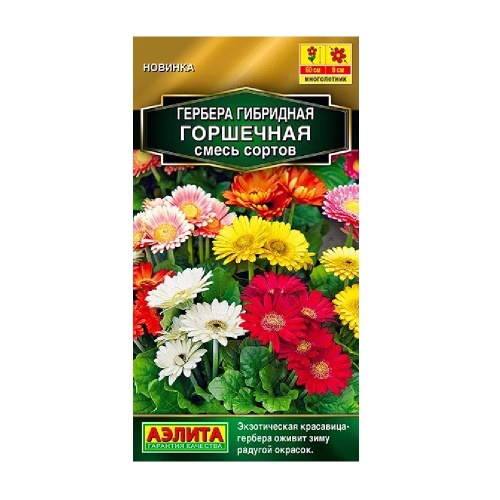 Гербера Горшечная_ смесь сортов  10шт _10