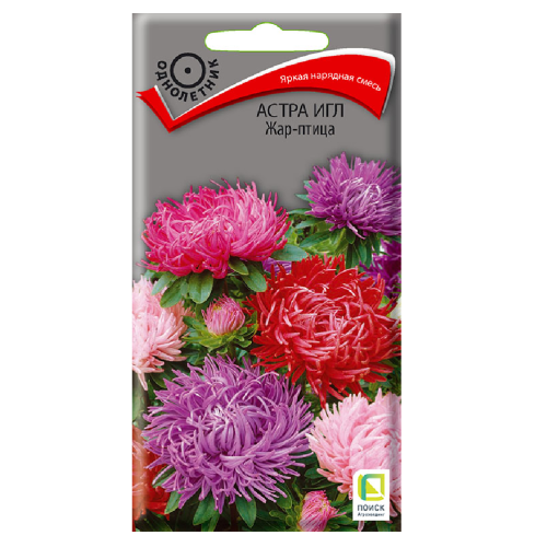 Астра игл Жар-птица  0_3гр_10