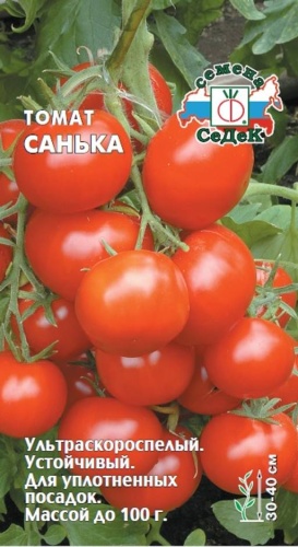 Томат Санька  0_1гр_10