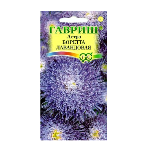 Астра Боретта лавандовая  0_3гр_10