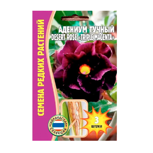 Адениум DesertRose Triple Magenta тучный  3 шт_10