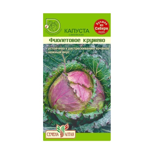 Капуста савойская Фиолетовое Кружево  0_3гр_10