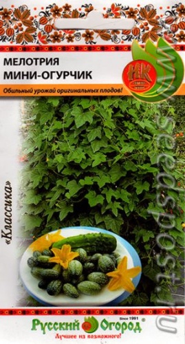 Мелотрия Мини-огурчик  20шт_10_200