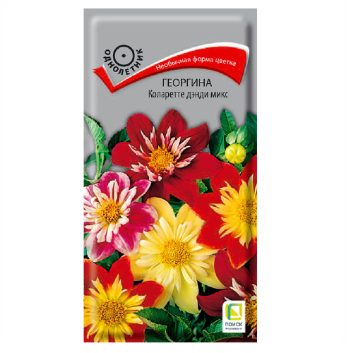 Георгина Коларетте дэнди микс  0_2гр_10