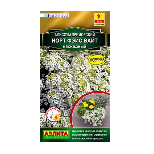 Алиссум Норт фэйс вайт каскадный  10шт _10