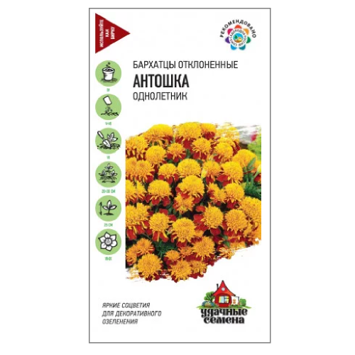 Бархатцы Антошка отклоненные_Удачные семена  0_3гр_10