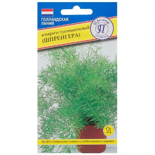 Аспарагус густоцветковый (Шпренгера)  5шт_10