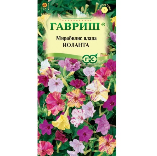 Мирабилис Иоланта  1гр_10