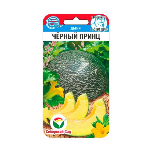 Дыня Черный принц 5шт_10