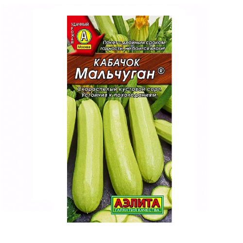 Кабачок Мальчуган белоплодный 1гр  _10