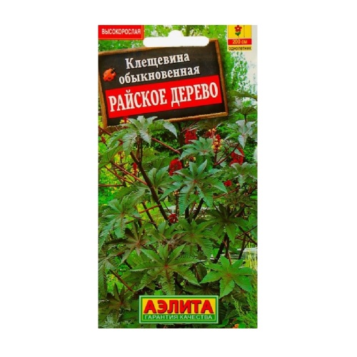 Клещевина обыкновенная Райское дерево 2гр _10