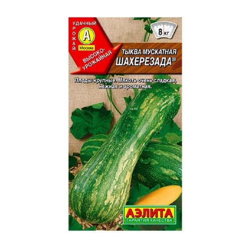 Тыква Шахерезада мускатная 1гр  _10