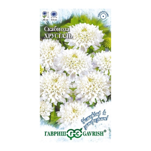 Скабиоза Хрусталь пурпурная махровая  0_2гр_10