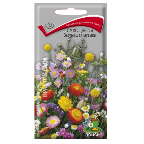 Сухоцветы Застывшая музыка  0_3гр_10